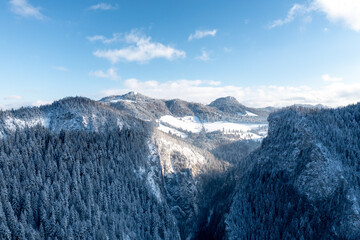 Carpathian, Romania, 2021-12-28. Romanian mountain illuminated by the sun with conifers under the snow.