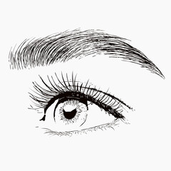 Obraz premium Illustration. The make-up artist does Long-lasting styling of the eyebrows of the eyebrows and will color the eyebrows. Eyebrow lamination. Professional make-up and face care.