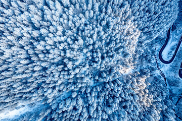 Carpathian, Romania, 2021-12-28. Aerial view of pine trees under the snow illuminated by the sun.