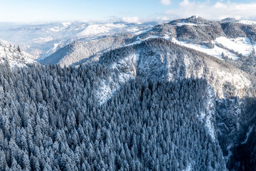 Carpathian, Romania, 2021-12-28. Romanian mountain illuminated by the sun with conifers under the snow.