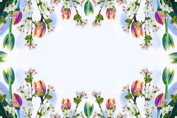 Obraz na płótnie Canvas Blossoming branch apple, tulips. Bright colorful spring flowers