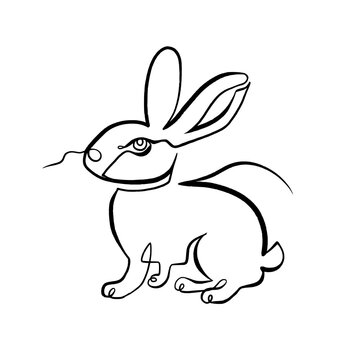 Continuous line vector drawing of cute hare, rabbit