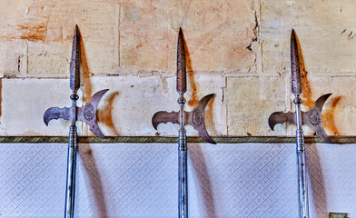 Group of 19th century Spanish halberds.