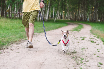 Man jogging with dog on waist leash along country dirt road