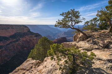 hiking the rim trail at the grand canyon, arizona, usa
