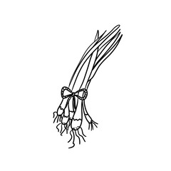 Vector isolated colorless black line leek. Organic food illustration for healthy lifestyle and great taste