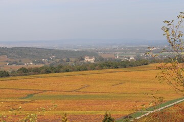 Obraz premium landscape of region Burgundy in France 
