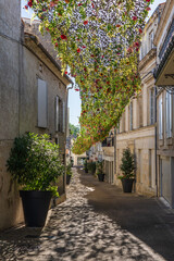 A narrow street in France with a flower rug overhead