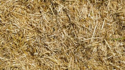 a straw field view from above for background