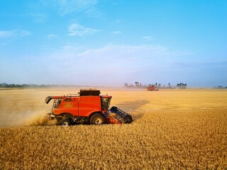 Obraz premium Aerial drone photo of red harvester working in wheat field on sunset. Combine harvesting machine driver cutting crop in farmland. Organic farming. Agriculture theme, harvesting season.