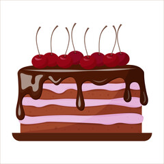 chocolate cake with cherry