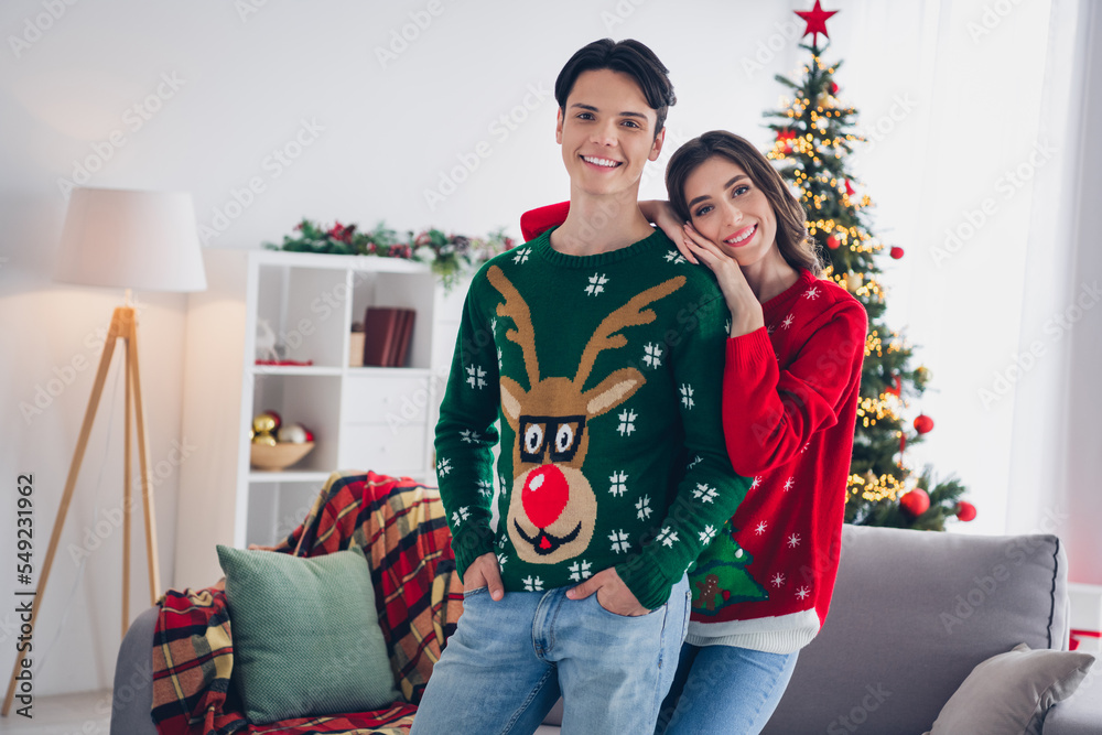 Sticker photo portrait of two confident people love their couple together christmas vibe near sofa wear ugly