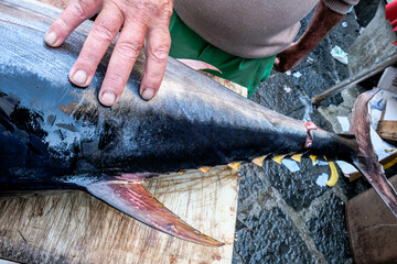 A PISCARIA © robertos_O