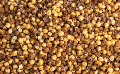 Top View of Roasted Chickpea  or Garbanzo Bean with Selective Focus in Horizontal Orientation, Also Known as Bengal Gram or Egyptian Pea