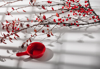 A branch of barberry and a red saucer for jam on a white background with a shadow from the window.