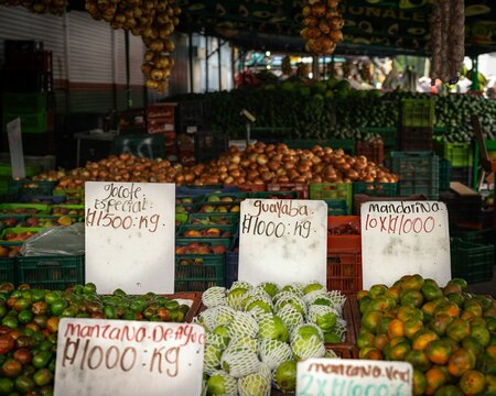 Variety of fruits sold in a market in San Jose, Costa Rica