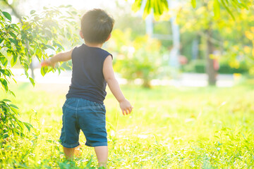 Toddler asian boy playing outdoor park sunset light