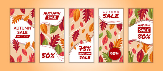 Autumn sale flyer. Fall leaf elements, thanksgiving day posters. Gift voucher, promo marketing social media banner, elegant discount offer. Orange leaves. Vector design garish background