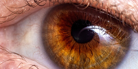 close up of  brown eye