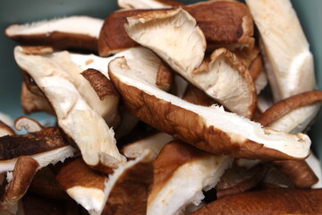 bunch of sliced raw shitake mushrooms, shitake mushrooms being prepared for cooking, texture of sliced shitakes, raw mushrooms texture for meal