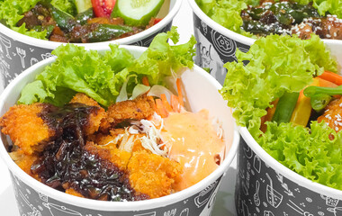 Fried chicken in spicy sauce sprinkled with sesame and chicken katsu with vegetables isolated on white background. fast food concept