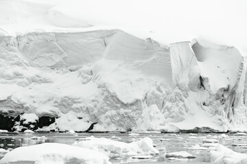 antarctica, antarctica icebergs, antarctica landscape, black and white, blue, cold, created, ethereal, floating, formations, frozen, frozen landscape, glacial mass, ice, ice cap, ice shelf, icebergs,  © JMP Traveler