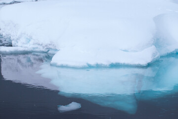 Icebergs floating in the still water around Enterprise Island. 