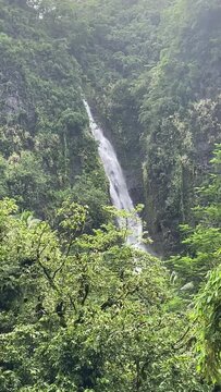 Cascade dans la jungle &agrave; Tahiti, Polyn&eacute;sie fran&ccedil;aise