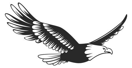 Flying eagle logo. Black power bird symbol