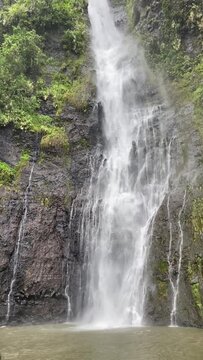Cascade dans la jungle &agrave; Tahiti, Polyn&eacute;sie fran&ccedil;aise