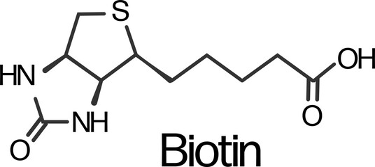 Biotin or vitamin B7 molecular skeletal formula structure.