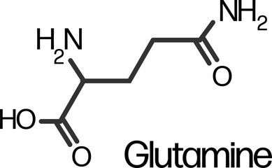 Glutamine molecular skeletal formula structure.