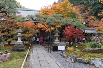 A Japanese temple : a scene of Hai-den Hall to pray and request in the precincts of Saisho-in...