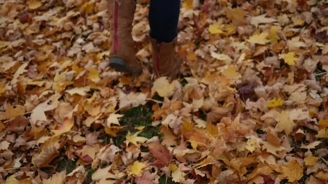 Woman Walking over Golden Fall Leaves In Park While Pushing Stroller