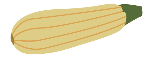 Yellow ripe zucchini icon. Hand drawn vegetable