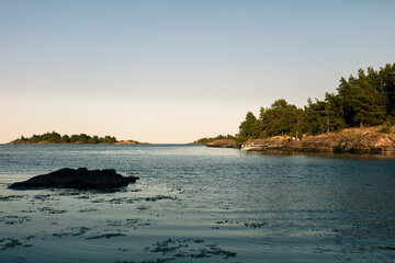 Bath time in summer, Skinny-dipping? 