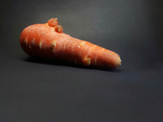 carrot