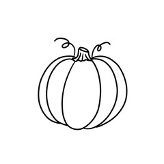Vector isolated colorless black line pumpkin