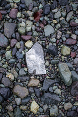 A close-up of a brightly colored rock among dark-colored rocks on an Antarctica beach.  