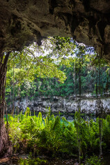 Exit from the water cave in the jungle to a small lake surrounded by mountains. Beautiful tropical nature. Cave with access to the water in the tropics.