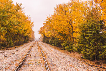 railroad in autumn