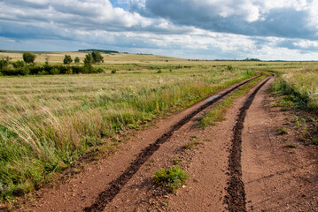 Fototapeta na wymiar landscape with a field