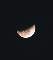 moon in the night