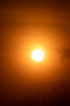 Sol Rojo En Playa Venao Panamá