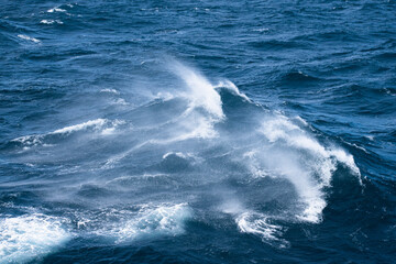 Boat wake waves in the Drake Passage, causing spray to come off the water. 