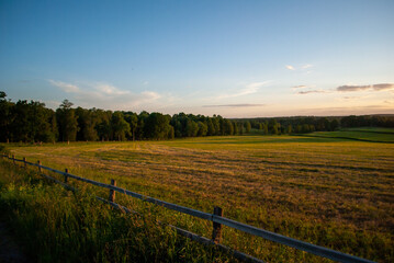 Fototapeta na wymiar Landscape with a field and trees in the summer of Sweden. Open field view. Shot on Nikon D60 in Vetlanda, Sweden