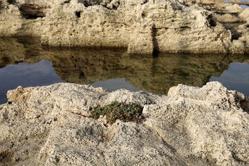 Coast of the Mediterranean Sea in northern Israel.