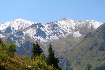 Fototapeta premium landscape with snow
