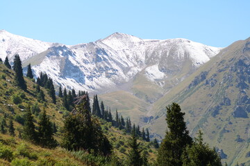 Obraz premium landscape with snow