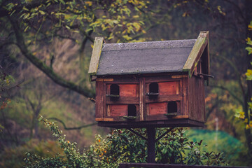 Bird house on a tree
